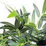 Voir la diapositive 6 : OUTSUNNY Bambou artificiel XXL 1,80H m 1105 feuilles denses réalistes pot inclus noir vert