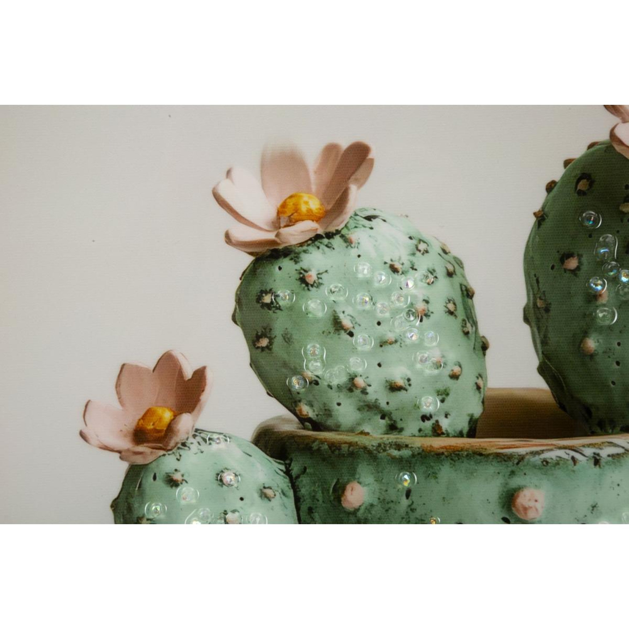 Voir la diapositive 3 : Paris Prix Tableau imprimé  cactus iii  40x40cm multicolore
