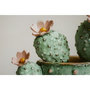 Voir la diapositive 3 : Paris Prix Tableau Imprimé  Cactus III  40x40cm Multicolore