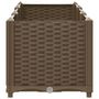 Voir la diapositive 5 : VIDAXL Lit sureleve 120x40x38 cm Polypropylene