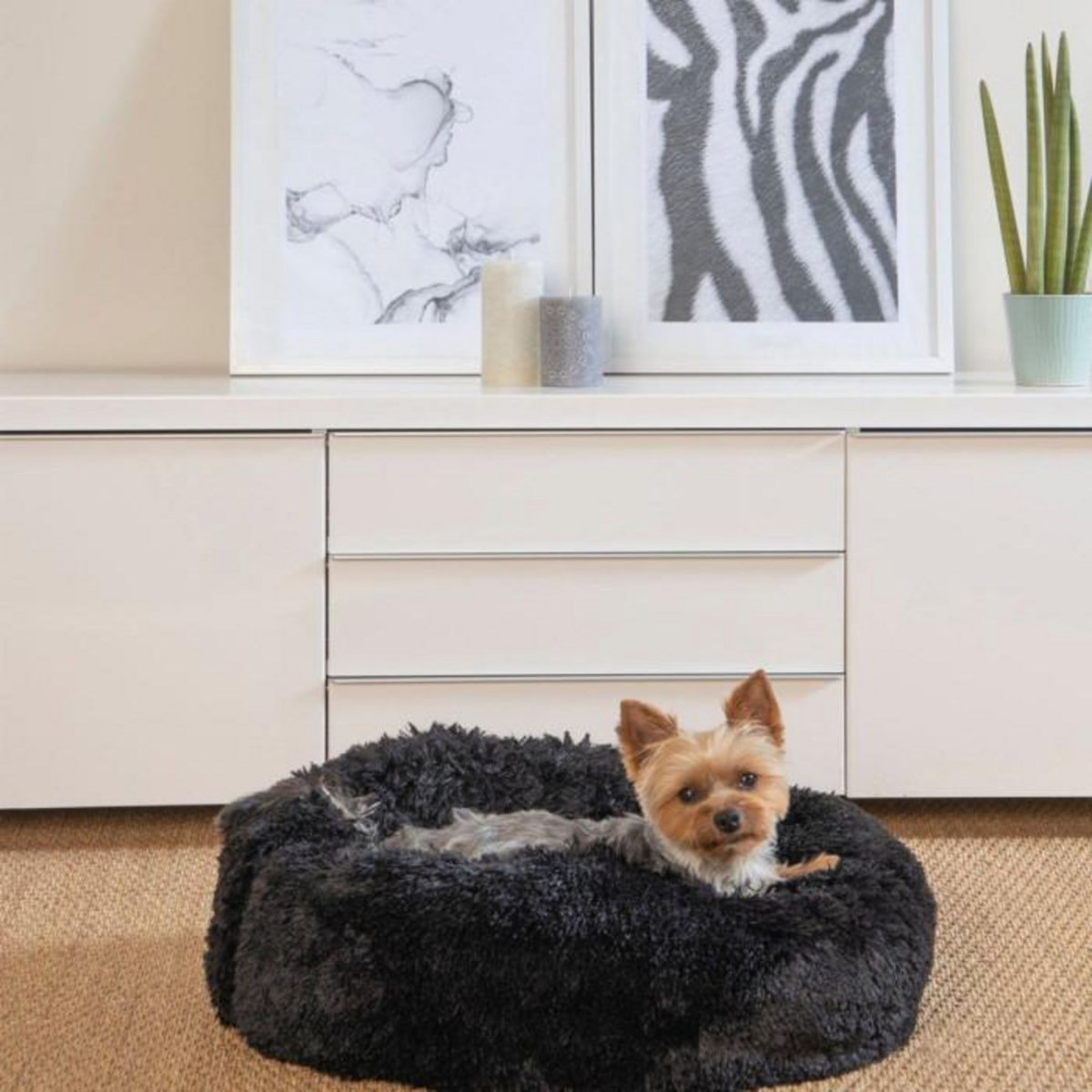 Paris Prix Coussin Rond pour Chien & Chat  Fluffy  55cm Noir