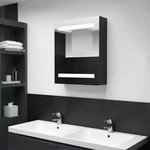 VIDAXL Armoire de salle de bain a miroir LED noir 50x14x60 cm