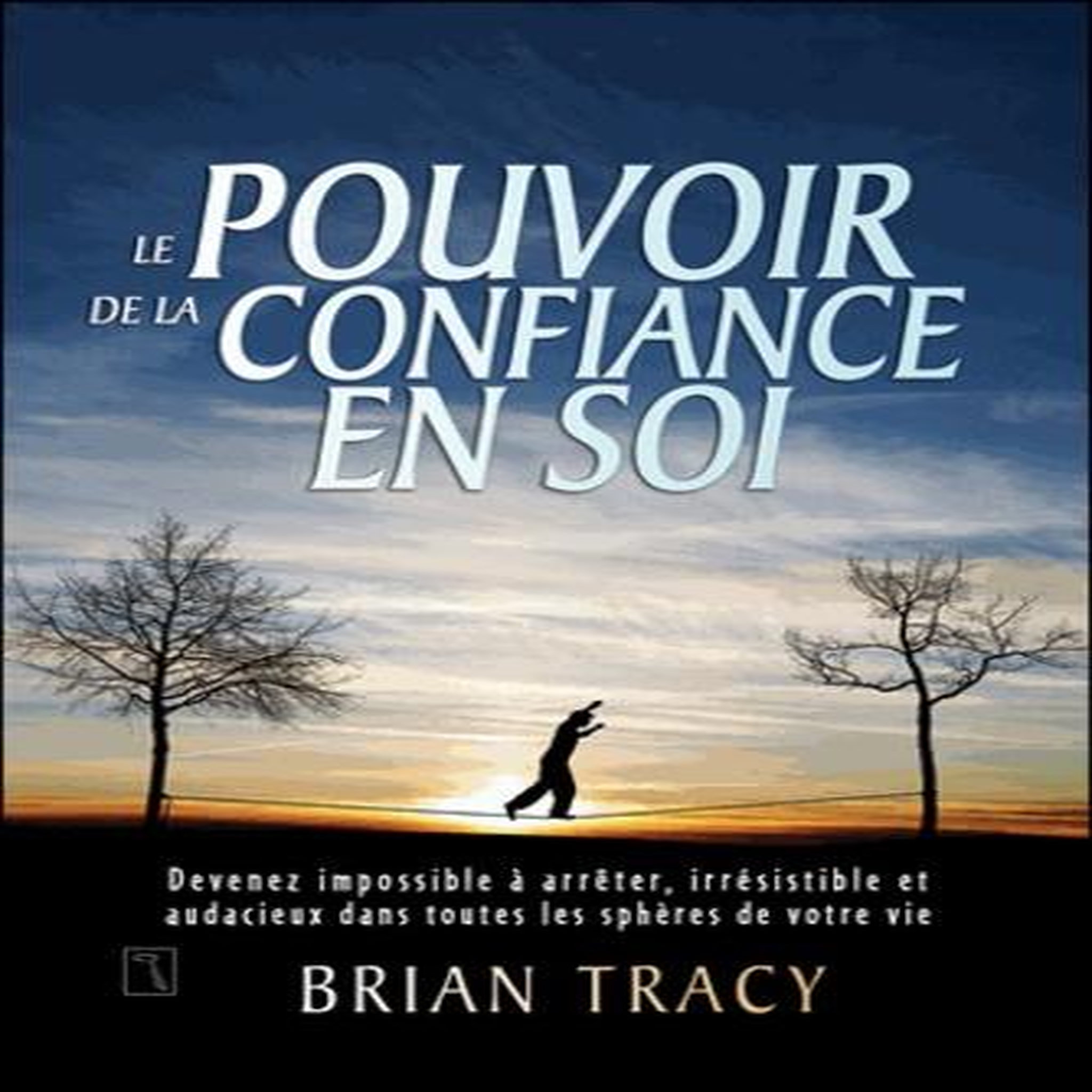 LE POUVOIR DE LA CONFIANCE EN SOI. DEVENEZ IMPOSSIBLE A ARRETER, IRRESISTIBLE ET AUDACIEUX DANS TOUTES LES SPHERES DE VOTRE VIE, Tracy Brian