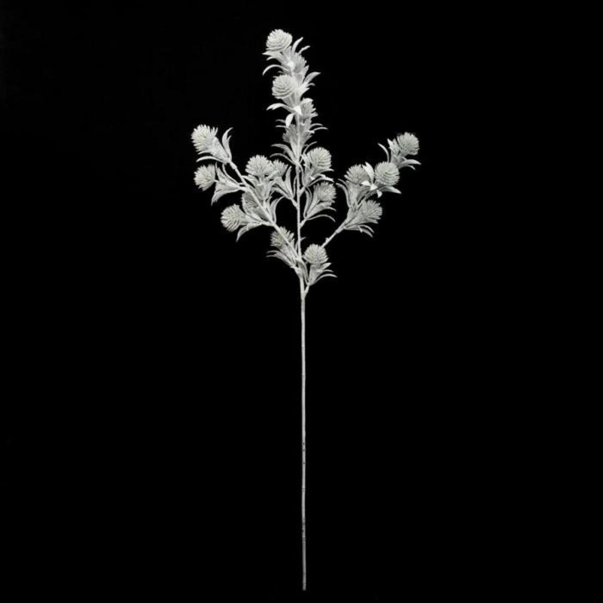 ATMOSPHERA Branche Tige Fleur  Génération Vintage  67cm Vert