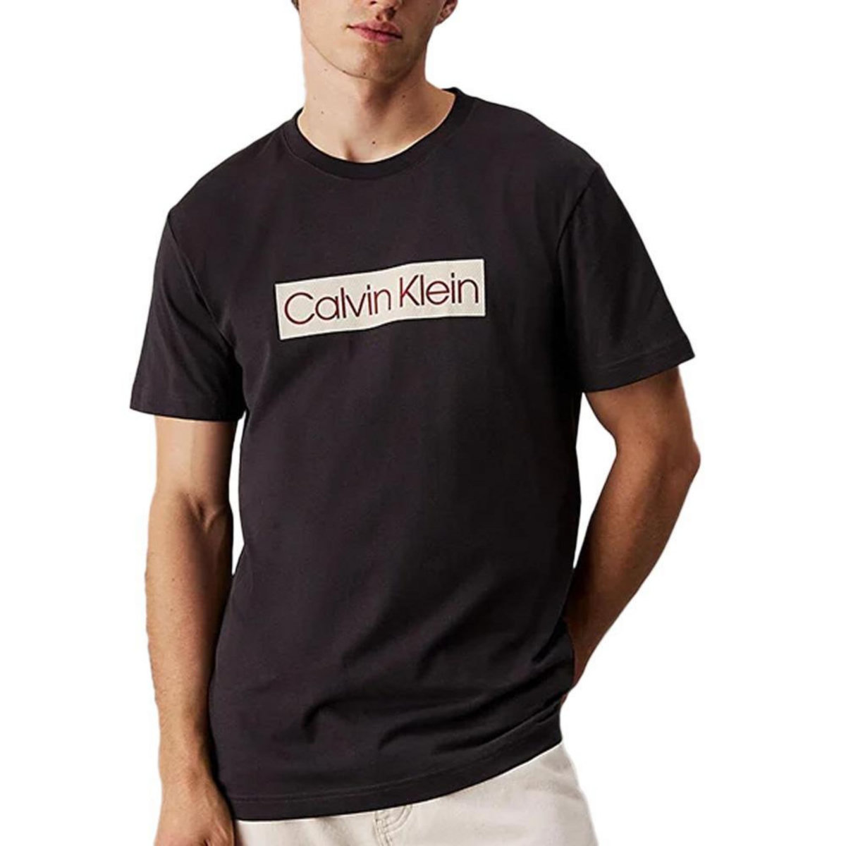 CALVIN KLEIN JEANS T Shirt  Homme Calvin Klein Jeans Calvin Klein  abel Phantom