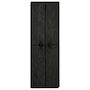 Voir la diapositive 4 : VIDAXL Armoire a chaussures Noir 60x30x166 cm Tissu