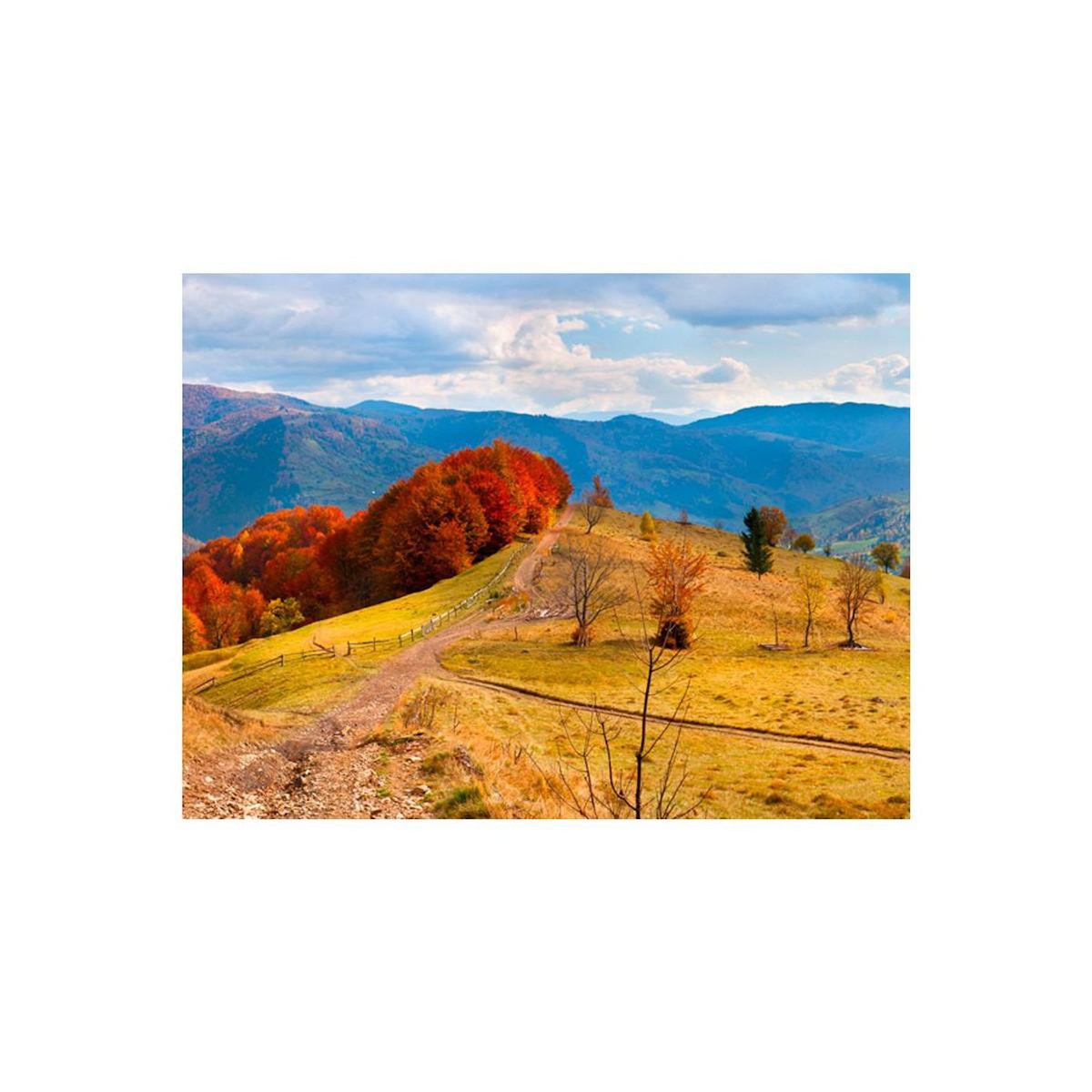 Paris Prix Papier Peint  Couleurs d'Automne, Carpates