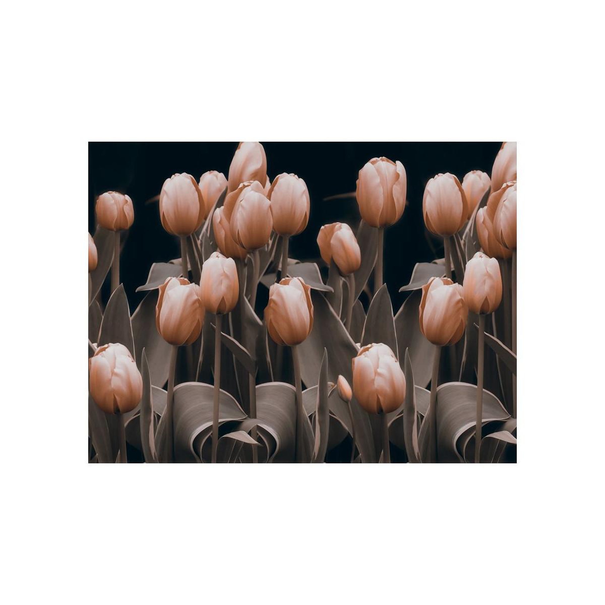 Voir la diapositive 2 : Paris Prix Papier Peint  Ladies Among the Flowers