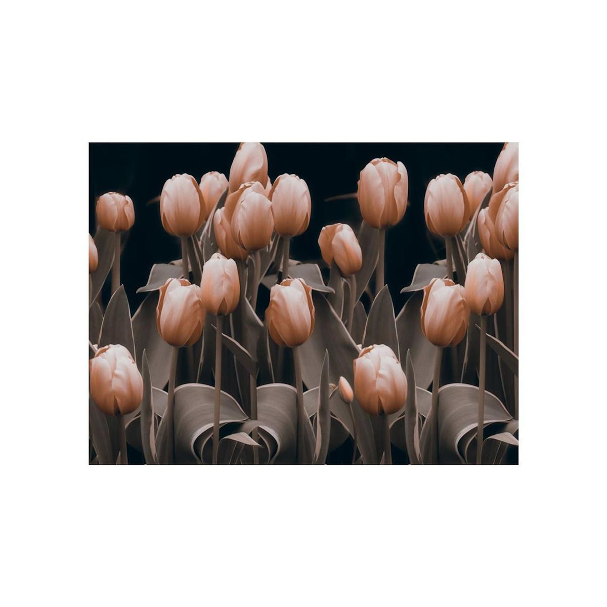 Paris Prix Papier Peint  Ladies Among the Flowers