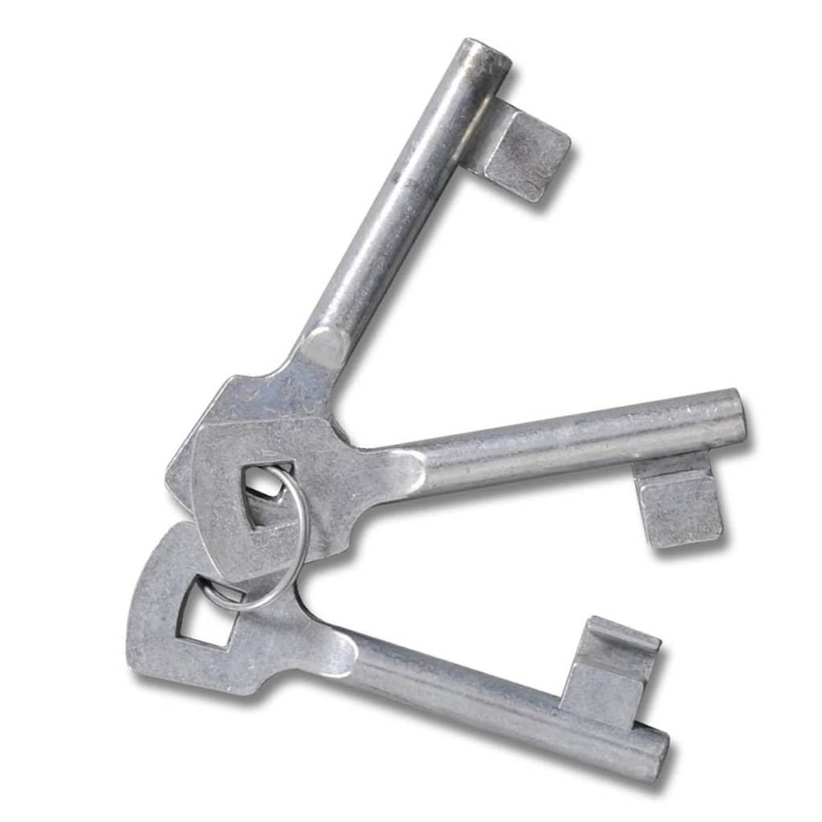 VIDAXL Portail double 300x150 cm en acier thermolaque