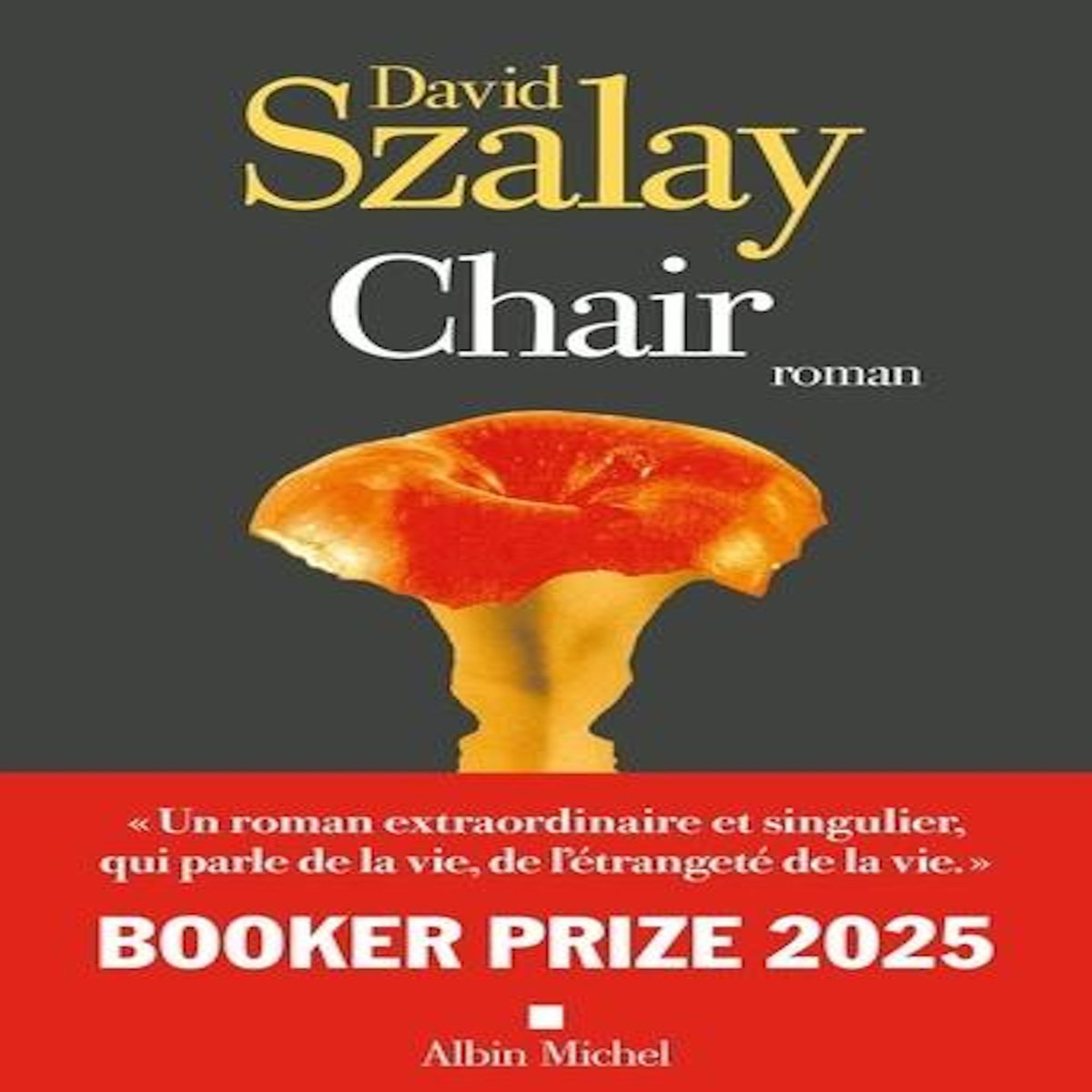 CHAIR, Szalay David