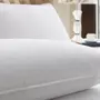 Sensei Maison 2 protège oreillers en coton 160 g/m² SECURE