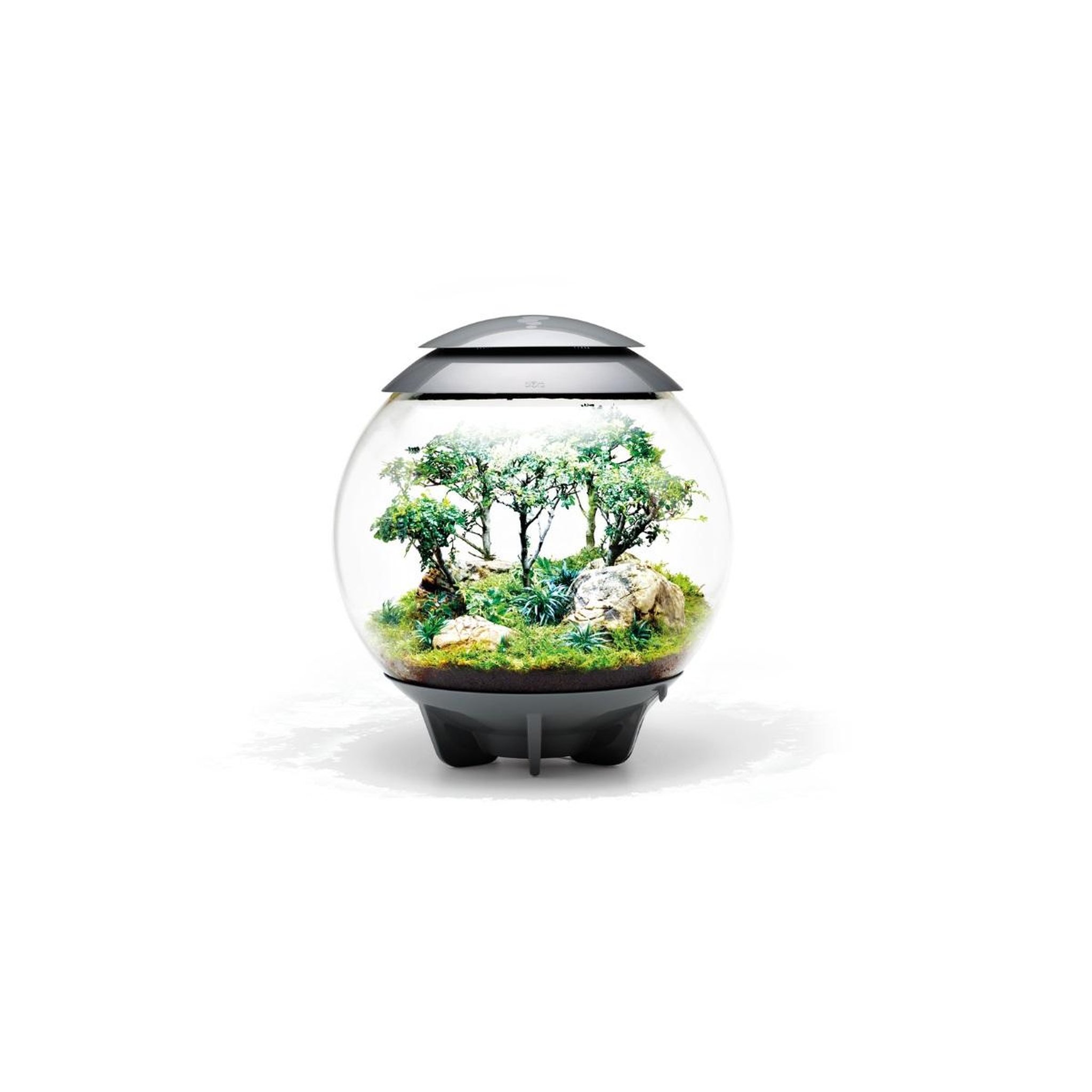 Voir la diapositive 3 : Oase Terrarium décoratif 60l avec cadre gris - air 60 grey