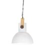 VIDAXL Lampe suspendue industrielle 25 W Blanc Rond Manguier 32 cm E27