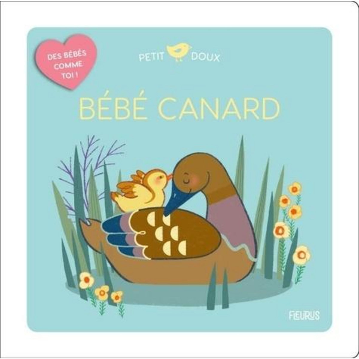 BEBE CANARD, Coudray Elodie