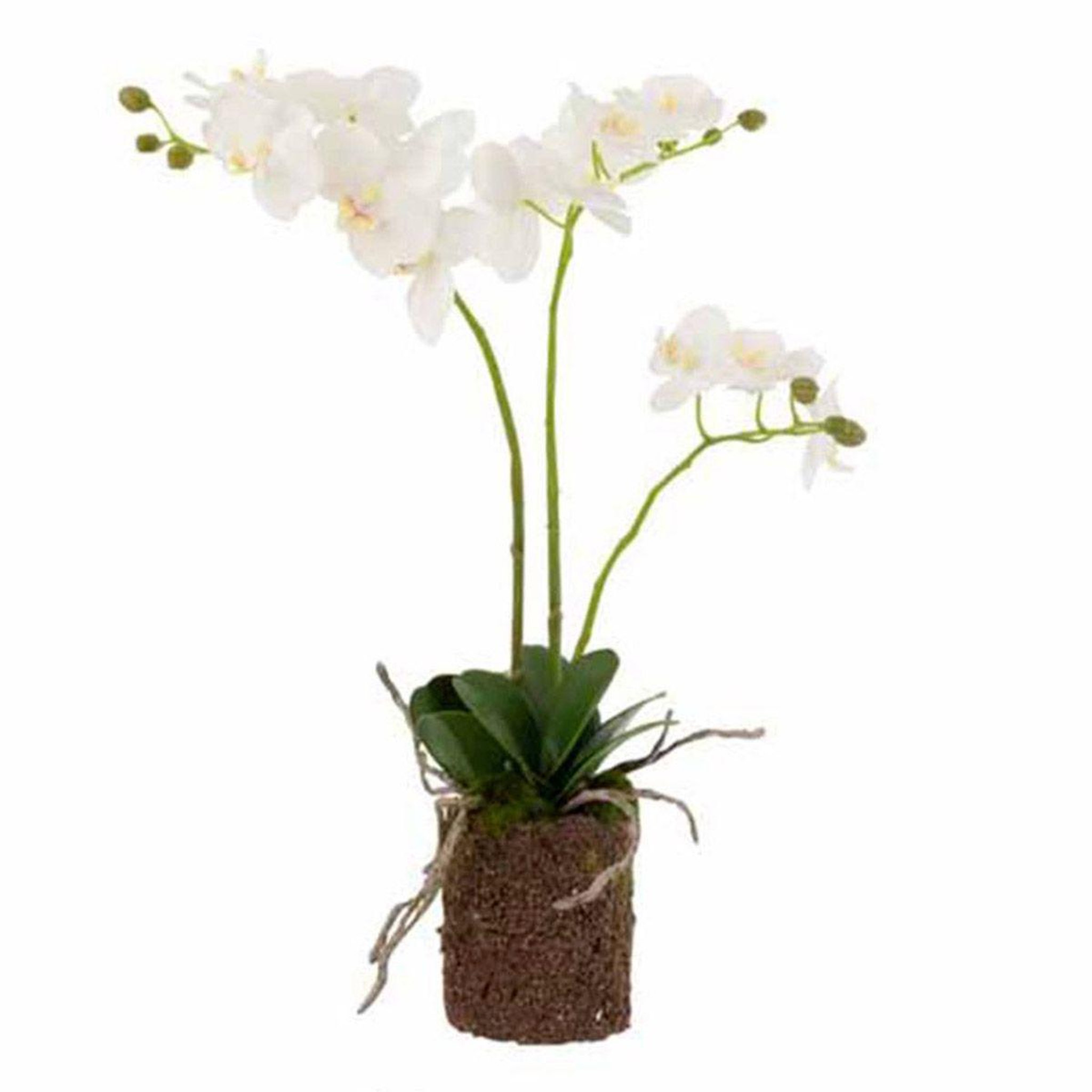 J-LINE Fleur artificielle déco  orchidée en terre  54cm blanc