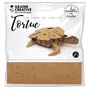 Graine créative Maquette tortue 3D en carton à monter soi-même