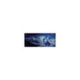 Voir la diapositive 2 : ACER Acer Predator Gaming Mousepad - XXL size PMP470 Tapis de souris de jeu Multicolore
