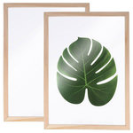 Artemio 2 cadres en bois pour Herbier A4