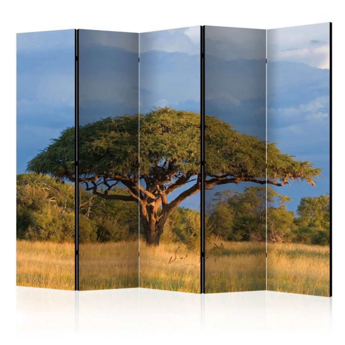Paris Prix Paravent 5 Volets  African Acacia Tree, Hwange National Park, Zimbabwe  172x225cm