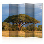 Paris Prix Paravent 5 Volets  African Acacia Tree, Hwange National Park, Zimbabwe  172x225cm