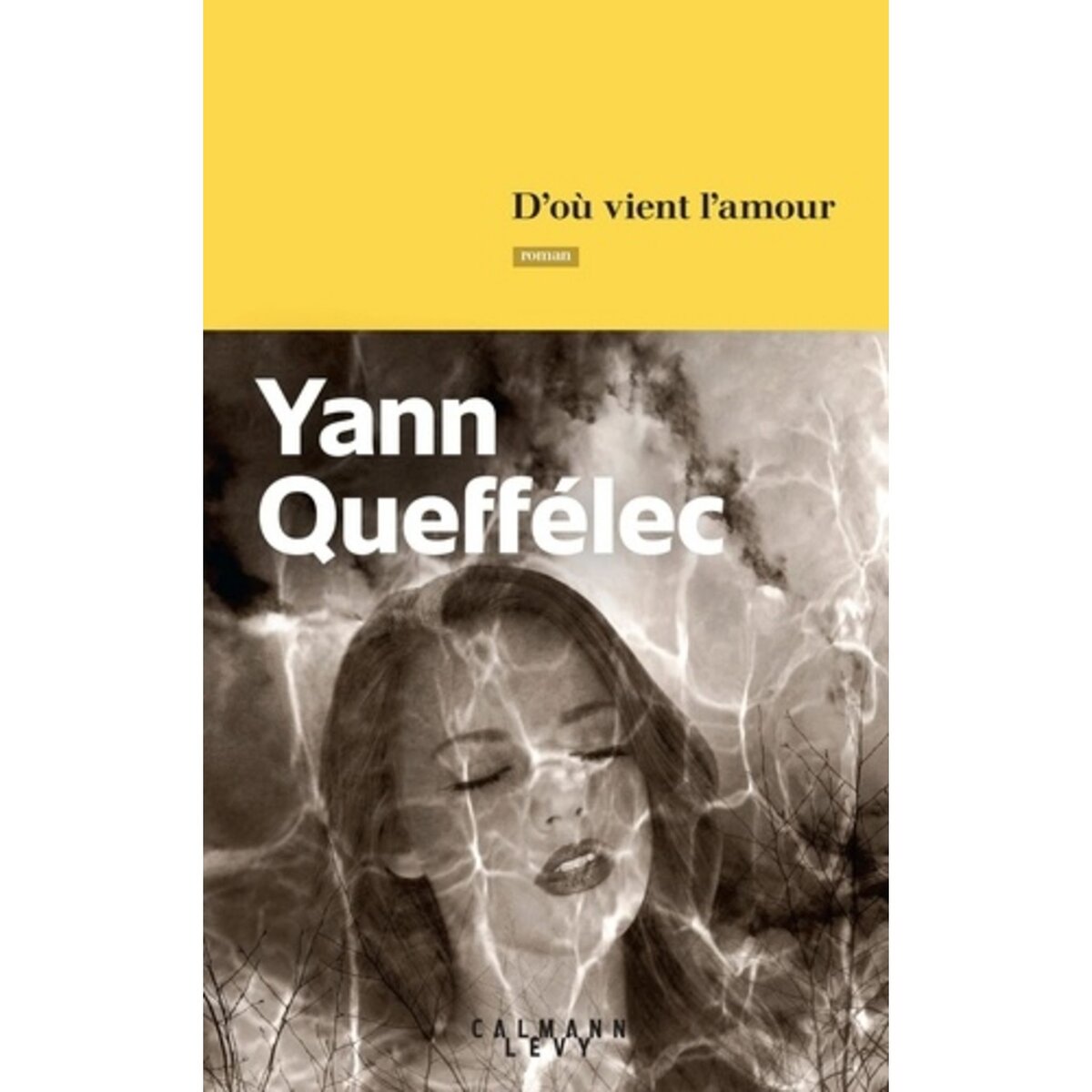  D'OU VIENT L'AMOUR, Queffélec Yann