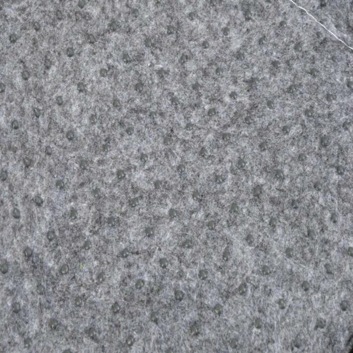 Paris Prix Tapis de Fouille  Raton Laveur  55cm Multicolore