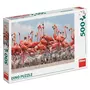 DINO Puzzle 500 pièces : Flamants roses
