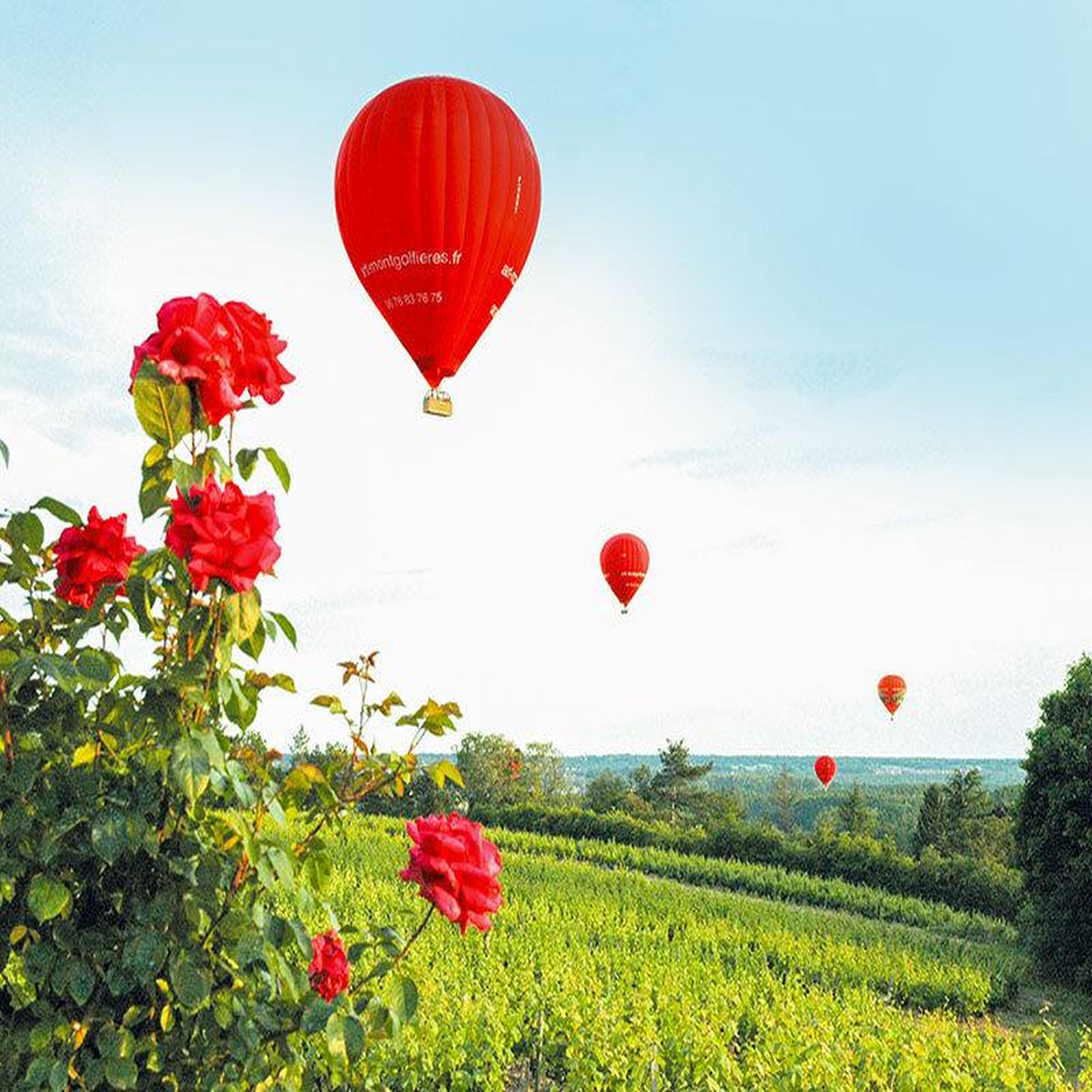 Voir la diapositive 4 : Smartbox Vol en montgolfière au-dessus du château de Saumur - Coffret Cadeau Sport & Aventure