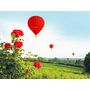 Voir la diapositive 4 : Smartbox Vol en montgolfière au-dessus du château de Saumur - Coffret Cadeau Sport & Aventure