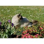 Nortene Grillage métal plastifié  Fensanet Plast 25  - 0,50 x 5 m - 25,4 x 25,4 x 0,85/1,2 mm