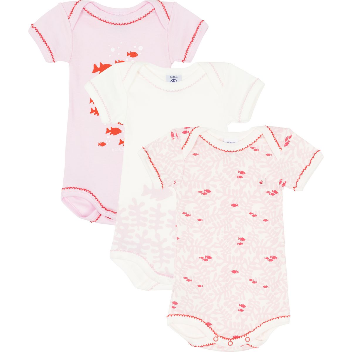 PETIT BATEAU Lot de 3 bodies manches courtes bébé fille