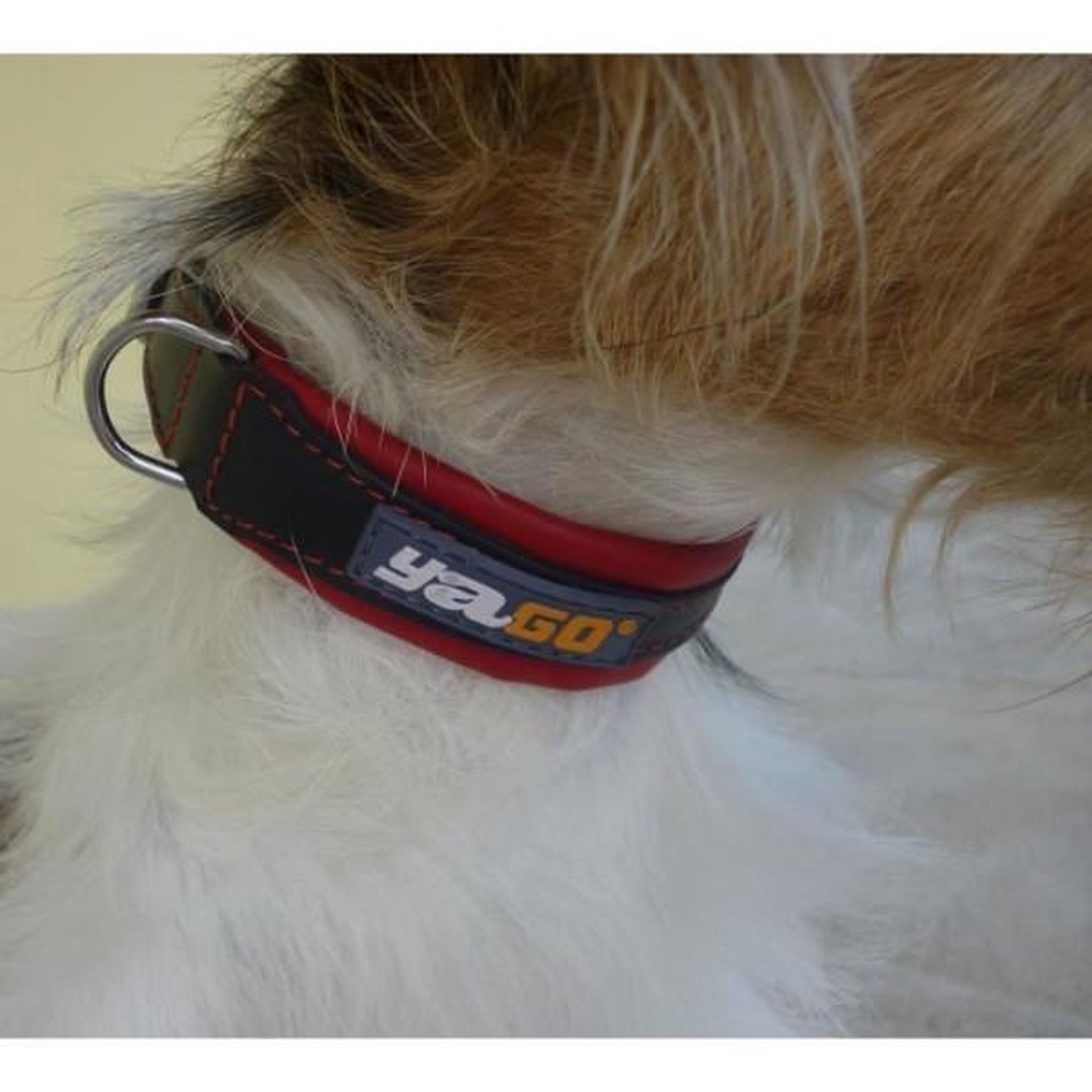 Voir la diapositive 3 : N/A Yago collier en cuir noir et rouge souple et réglable pour moyen chien, taille m 34-43 cm