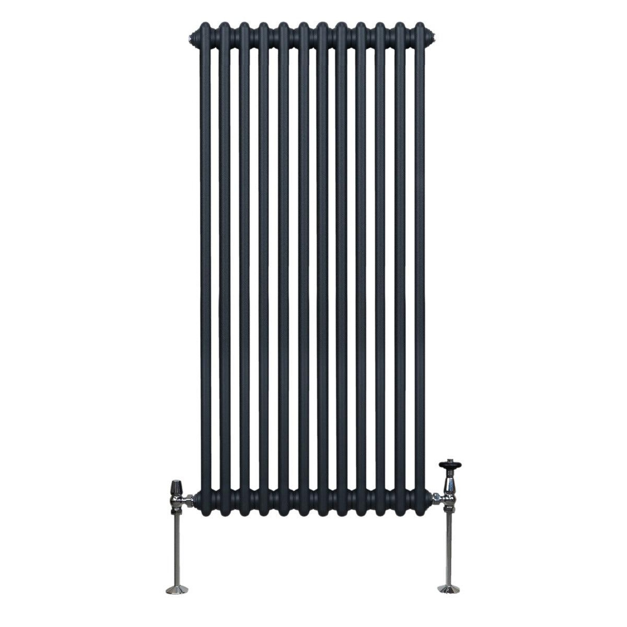 Voir la diapositive 2 : MONSTERSHOP Radiateur traditionnel à 2 colonnes – 1500 x 562 mm