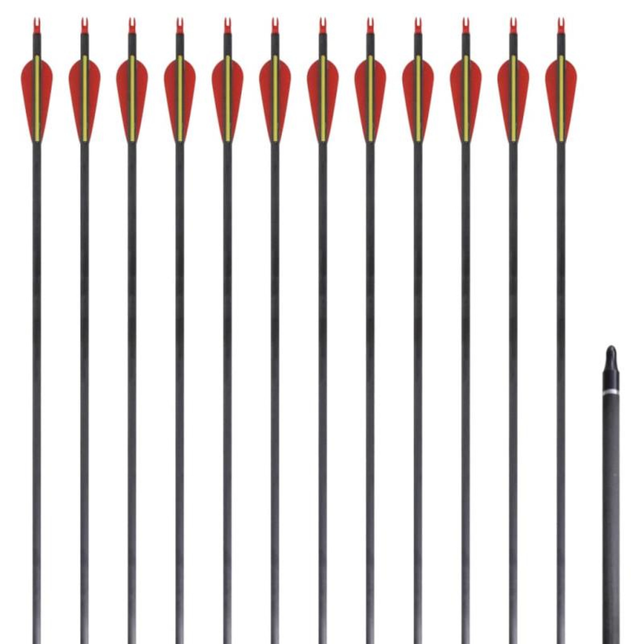 Voir la diapositive 1 : VIDAXL Flèche d arc recourbé standard 12 pcs 30 0,76 cm carbone