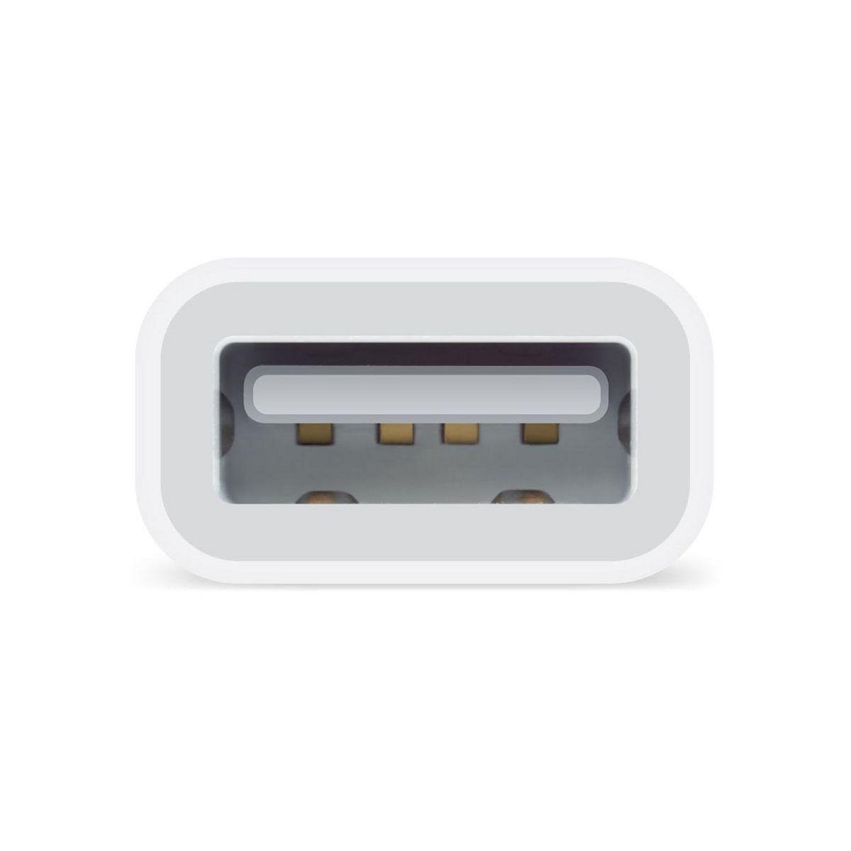 APPLE Adaptateur Lightning/USB Lightning vers USB pour appareil photo