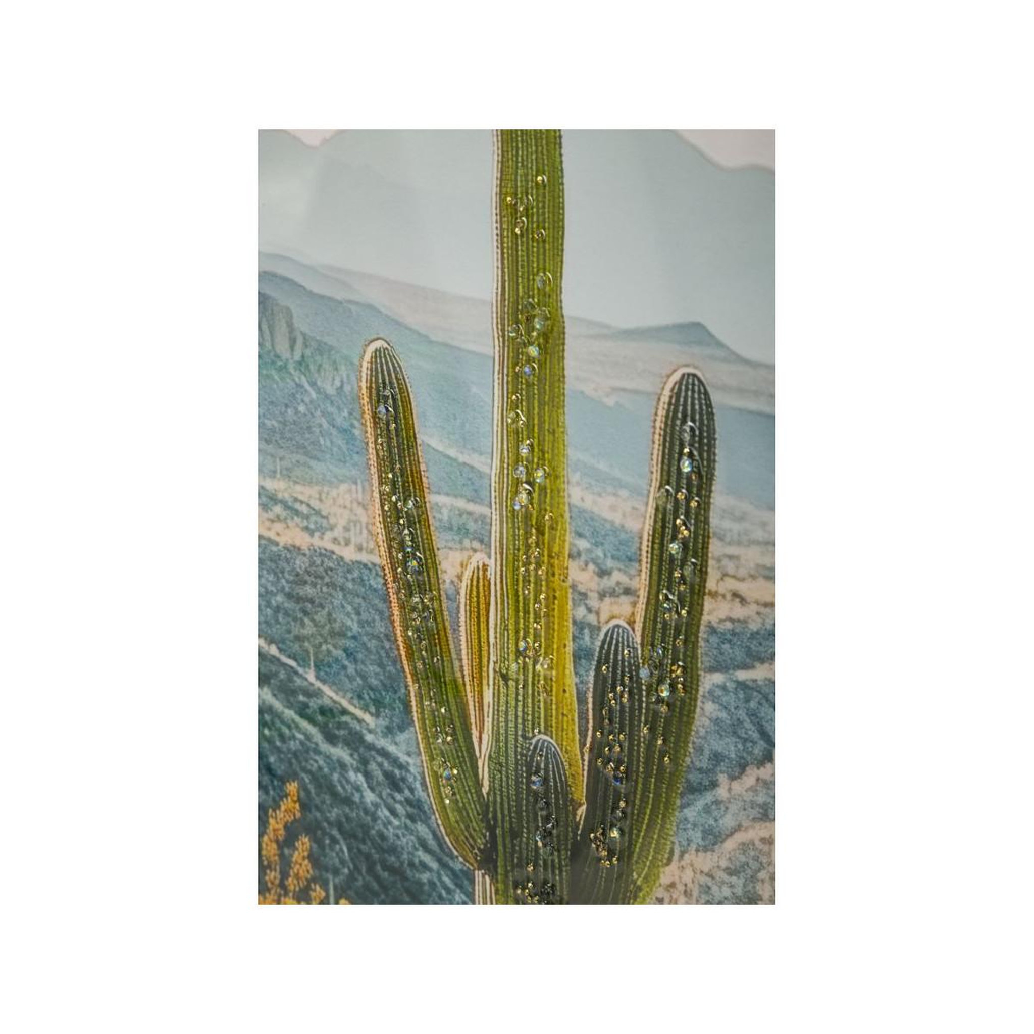 Voir la diapositive 3 : Paris Prix Tableau imprimé  cactus dressé ii  60x90cm multicolore