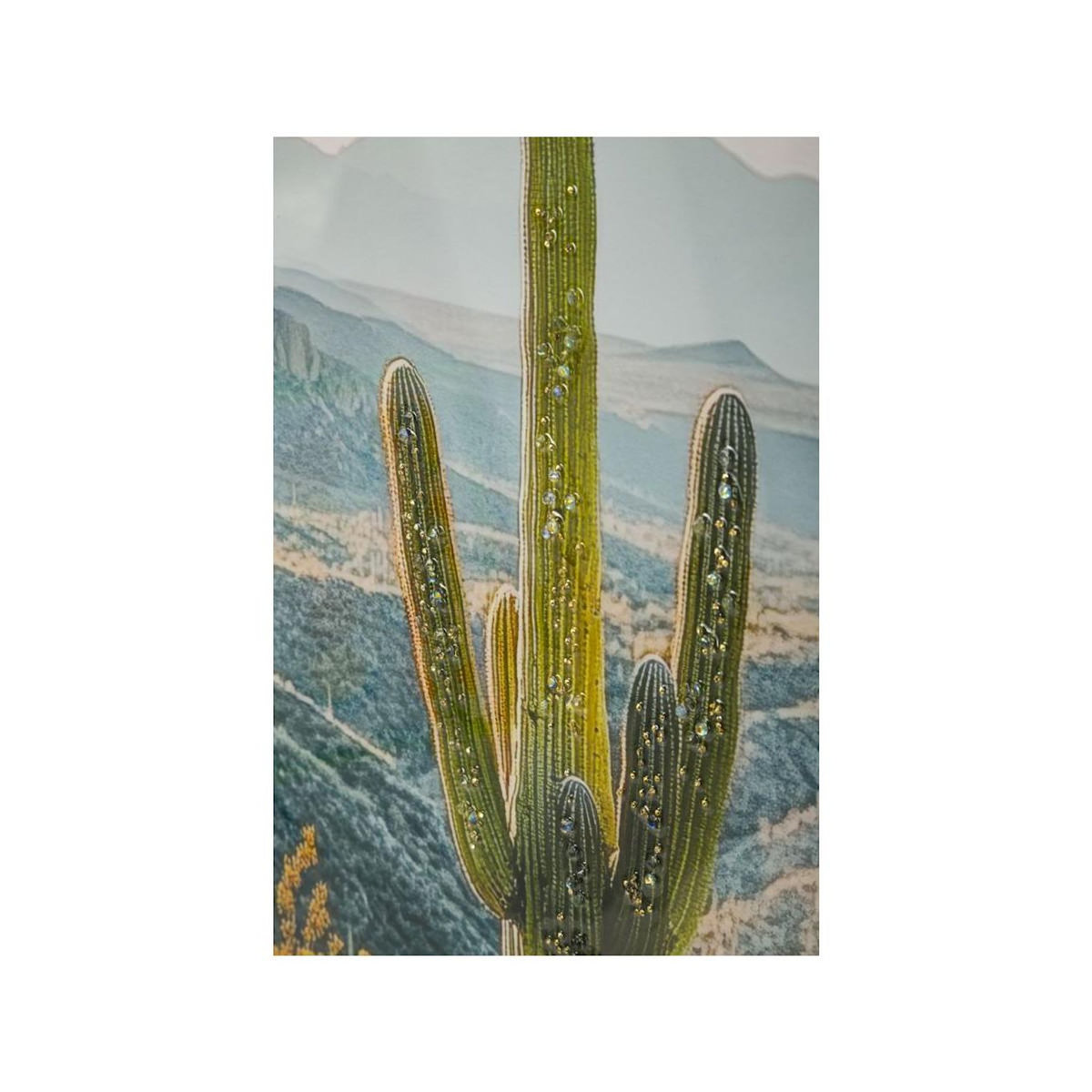 Paris Prix Tableau Imprimé  Cactus Dressé II  60x90cm Multicolore