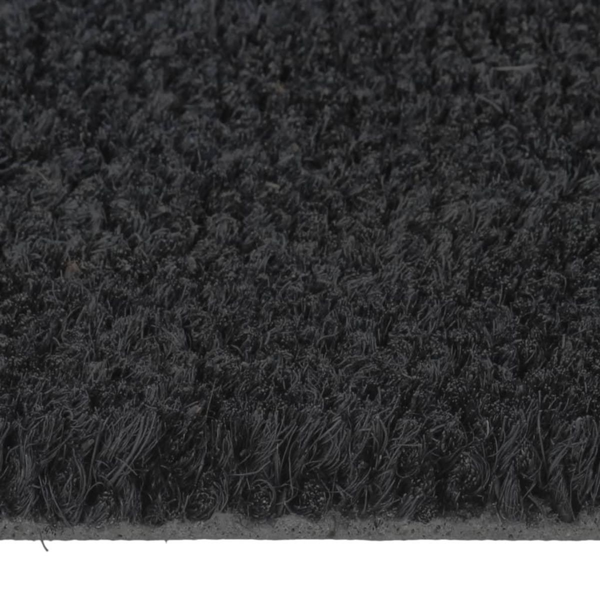 VIDAXL Tapis de porte noir 50x80 cm fibre de coco touffete