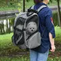 PAWHUT 2 en 1 trolley chariot sac à dos sac de transport à roulettes pour chien chat gris