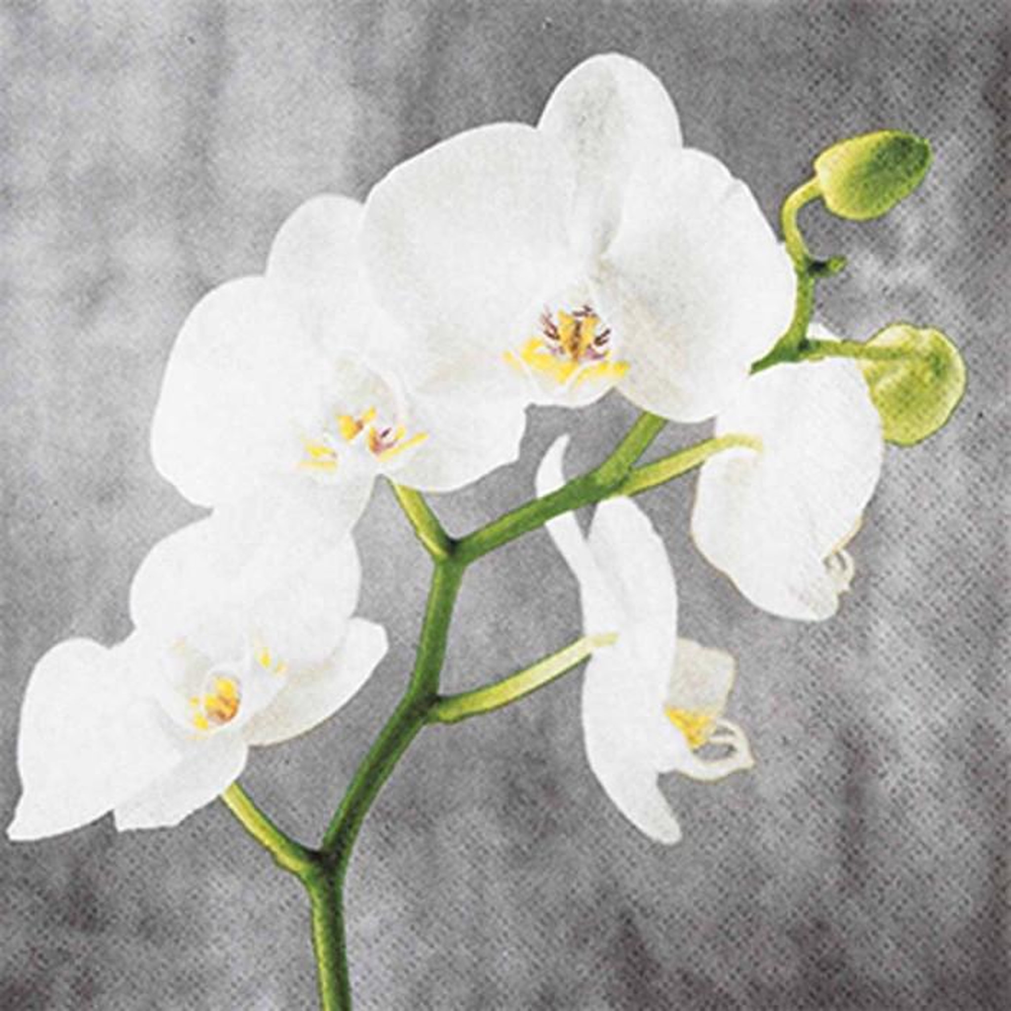 Paris Prix Lot de 20 Serviettes en Papier  Orchidée  25x25cm Gris