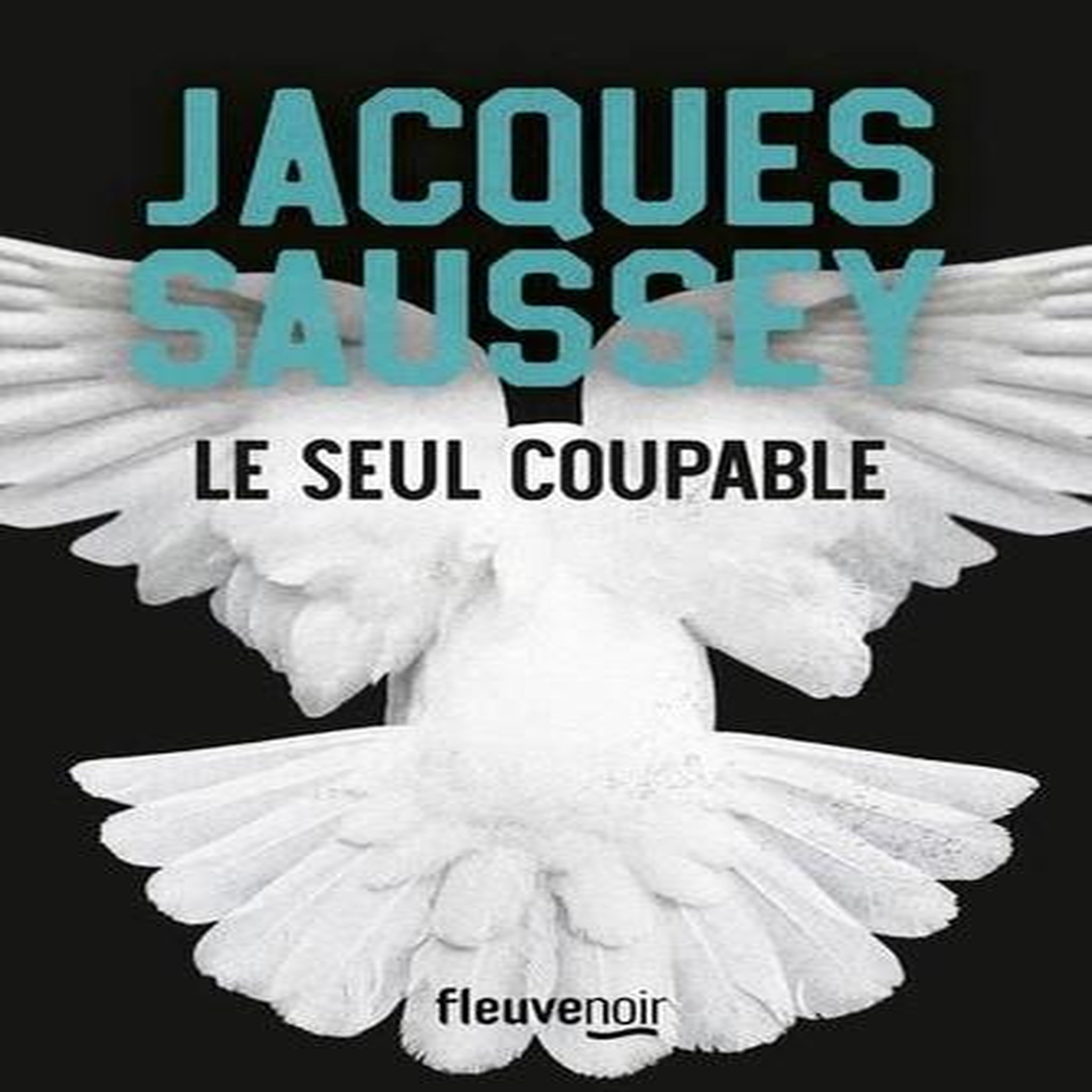 LE SEUL COUPABLE, Saussey Jacques