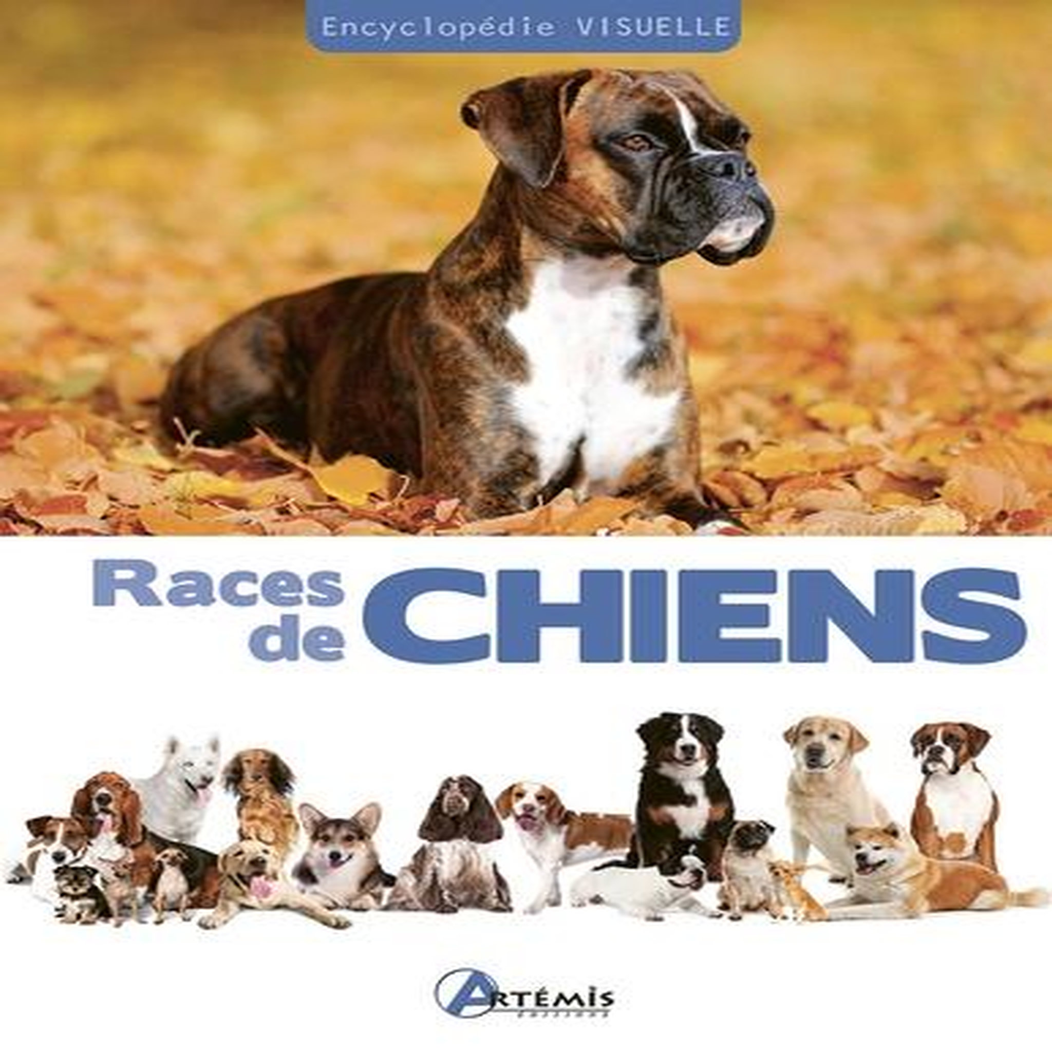 RACES DE CHIENS, Fournier Alain