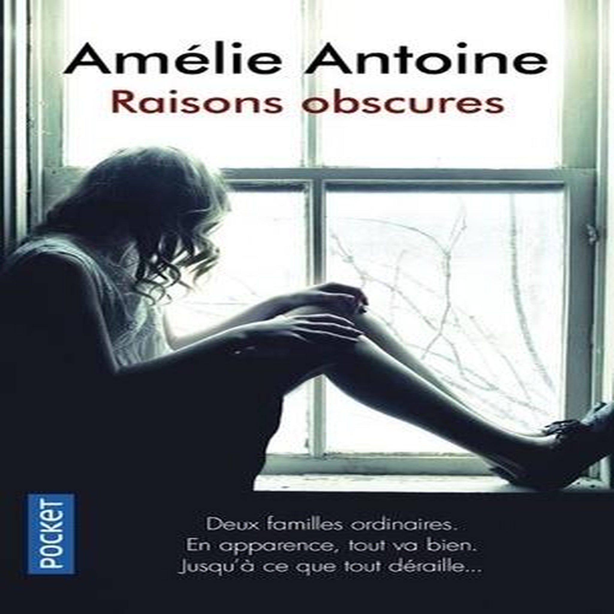 RAISONS OBSCURES, Antoine Amélie