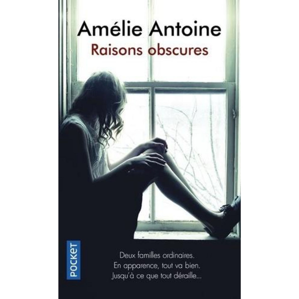 RAISONS OBSCURES, Antoine Amélie