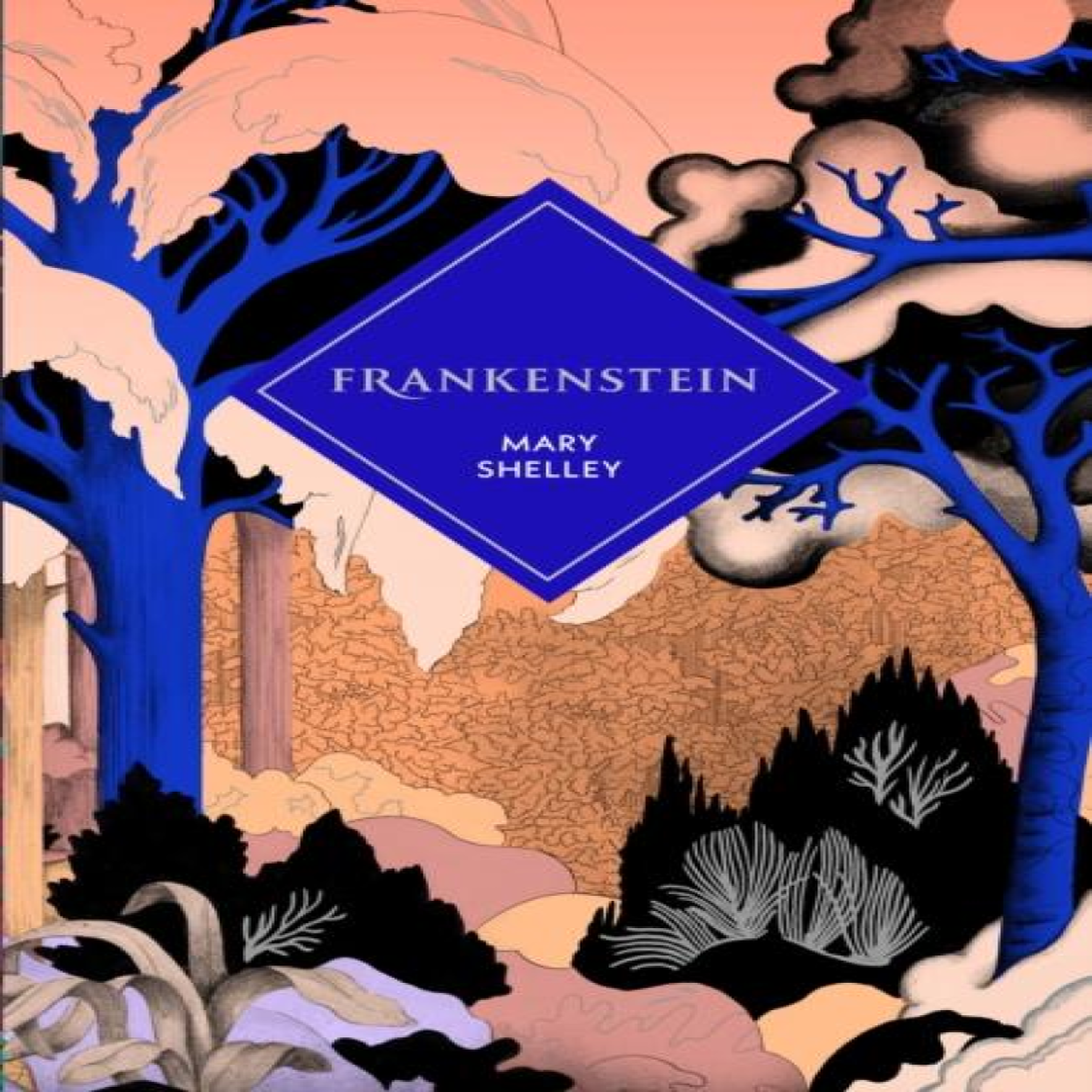 LIVRES Frankenstein - Mary Shelley