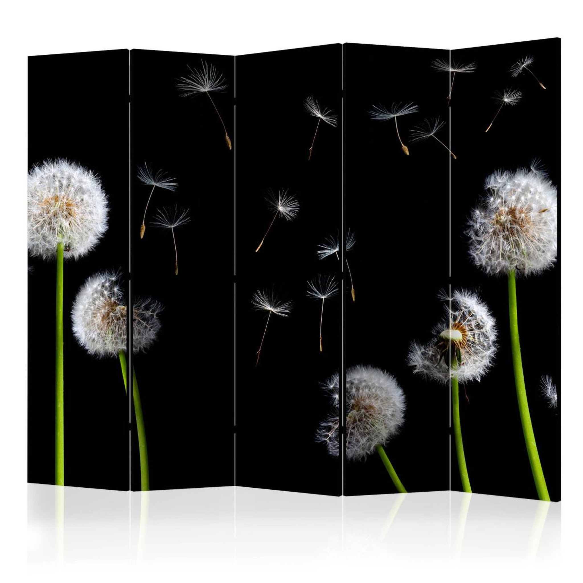Paris Prix Paravent 5 volets  dandelions in the wind  172x225cm