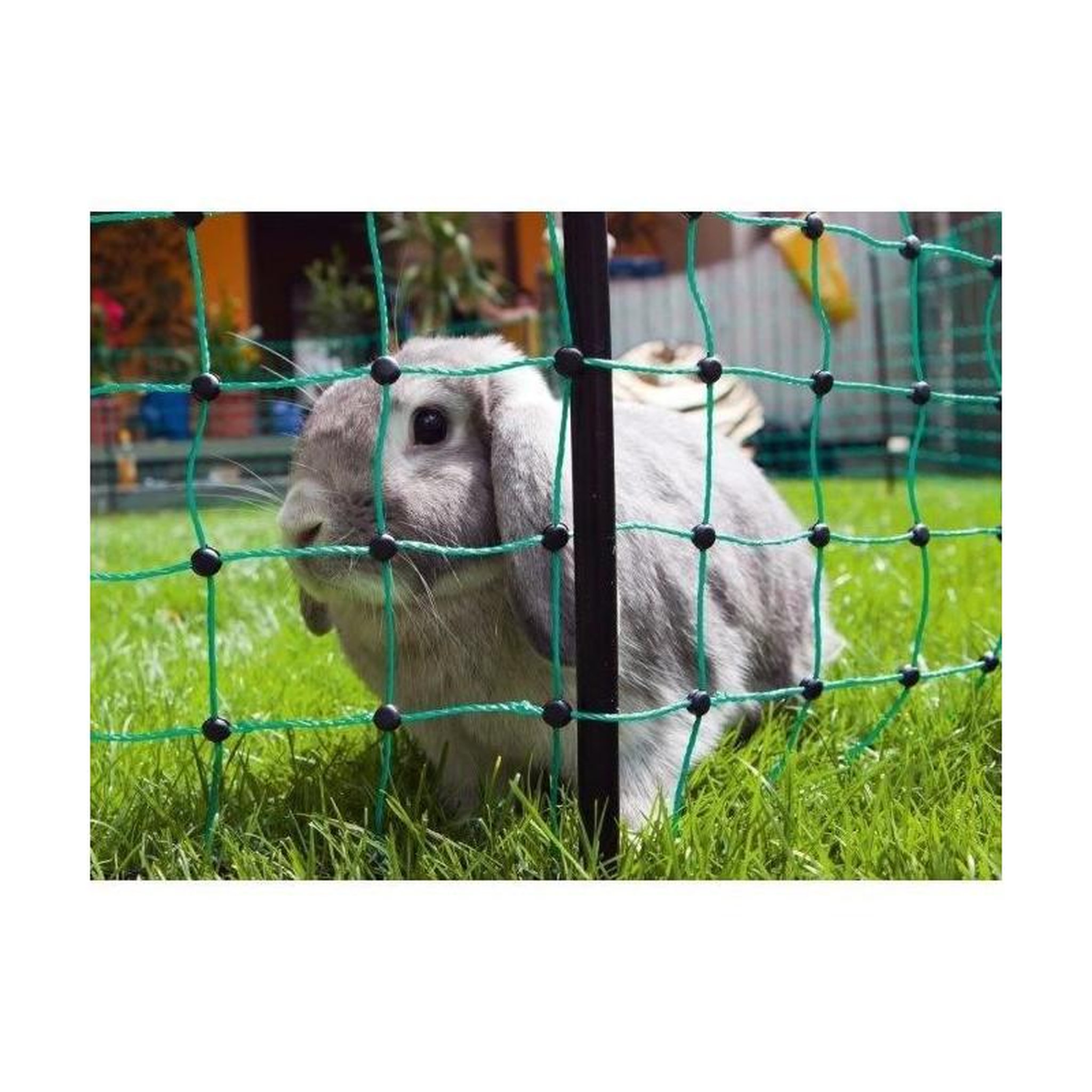 Voir la diapositive 3 : KERBL RabbitNet - KERBL - 25 m - 65 cm - Double pointe - Vert