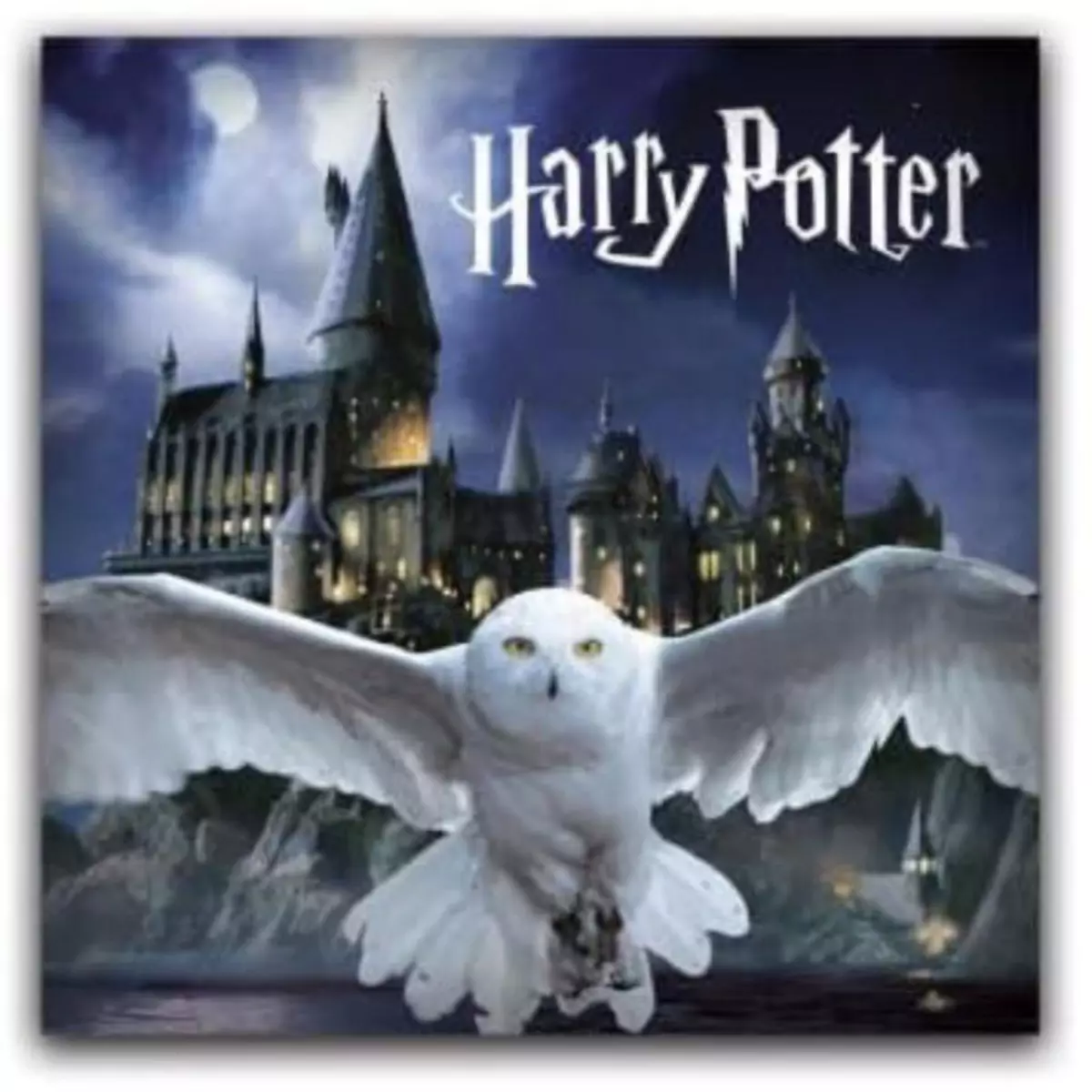 HARRY POTTER Harry Potter - Coussin Enfant avec Poche - 35x35 cm