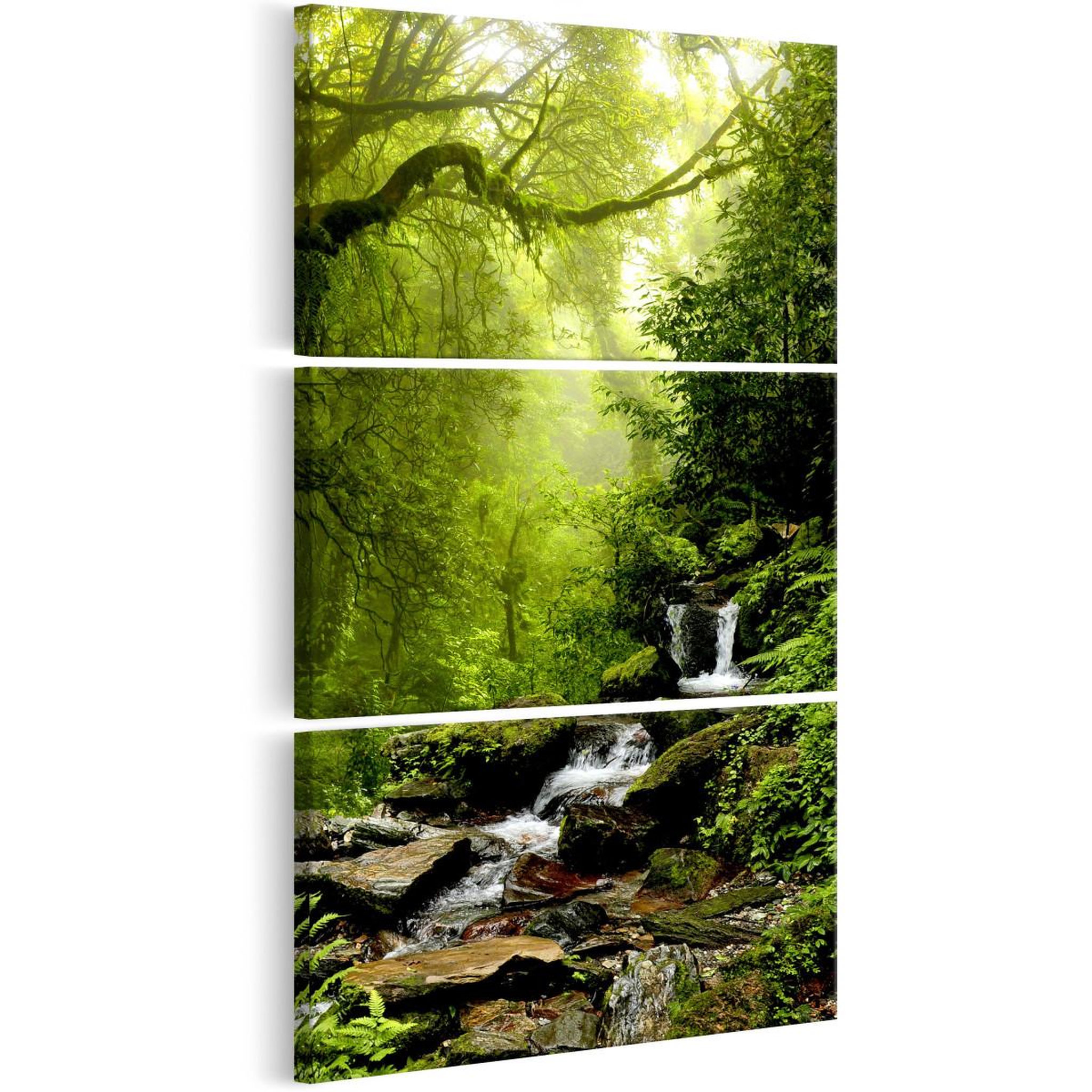 Paris Prix Tableau imprimé  brook among trees  60x120cm